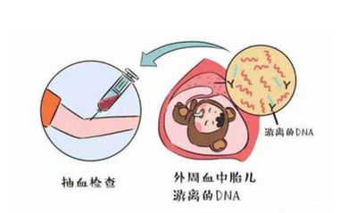 去香港驗血查男女多少錢？貴嗎？