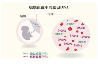 靠譜的檢測驗(yàn)血權(quán)威機(jī)構(gòu)